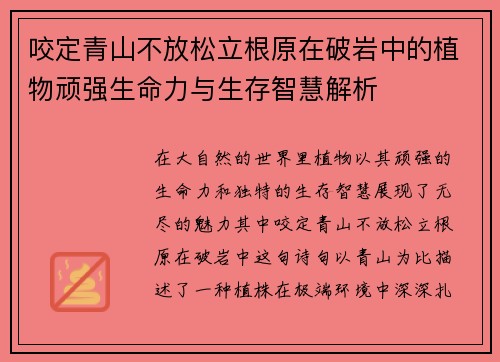 咬定青山不放松立根原在破岩中的植物顽强生命力与生存智慧解析